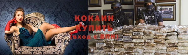 бутират Богданович